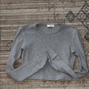 Gray Long Sleeve Crop Top